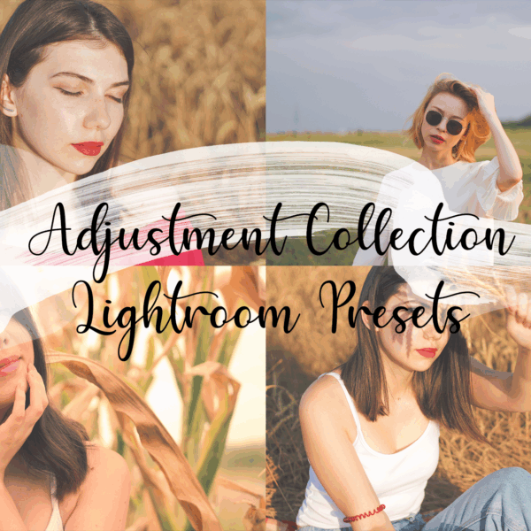 Adjustment Collection Lightroom Preset Pack