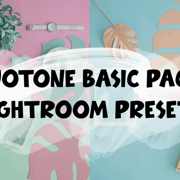 Duotone Basic Lightroom Presets