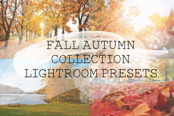 Fall Autumn Collection Lightroom Preset Pack