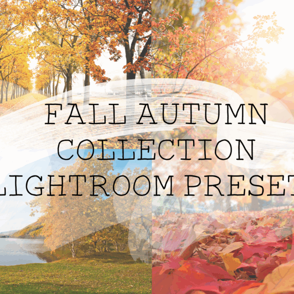 Fall Autumn Collection Lightroom Preset Pack